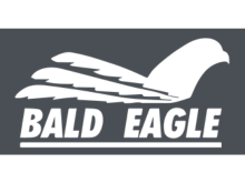 Bald Eagle Mechanics Glove Logo