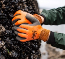 33-1365 Application Image